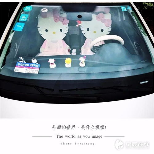 外面的世界,是什么模样 萌哭你的车饰摄影